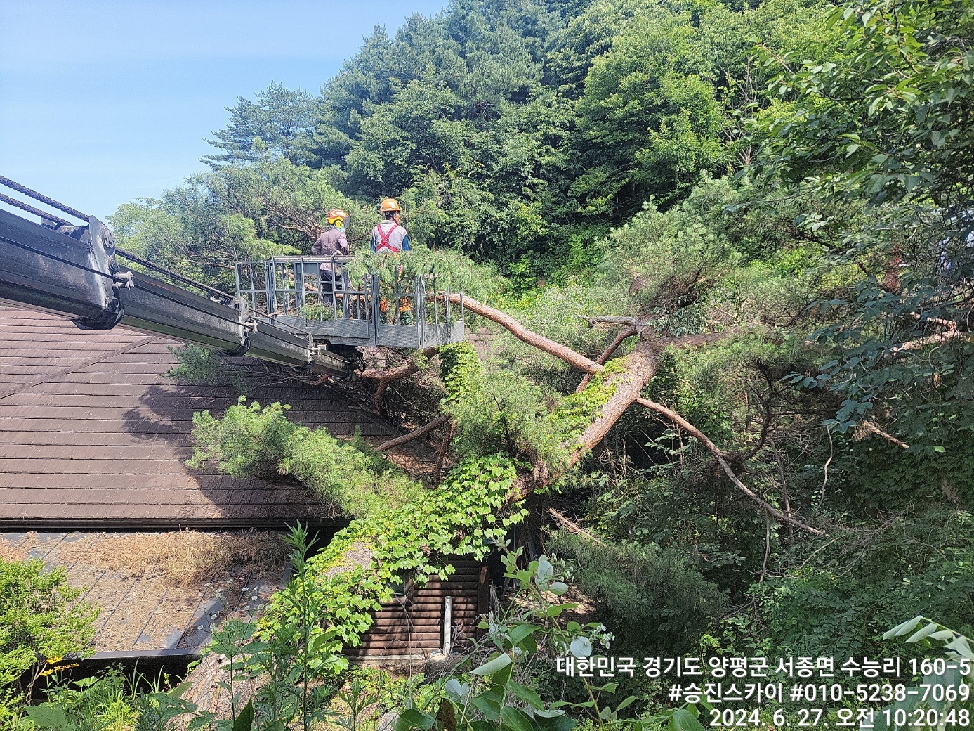 2000769928_rwzo7nIT_8f545bf2255133f01b6b688543fbc5e7a9451a69.jpg 이미지크게보기