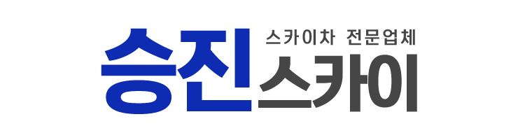 승진스카이_로고 승진스카이_로고